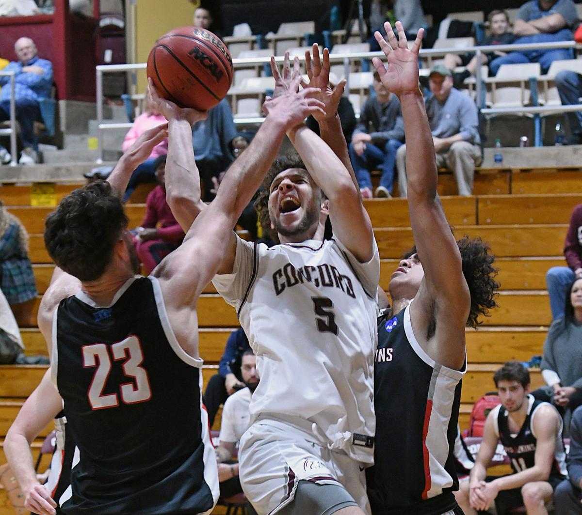 Mountain Lions On The Prowl Concord Hoops Sweep Davis Elkins