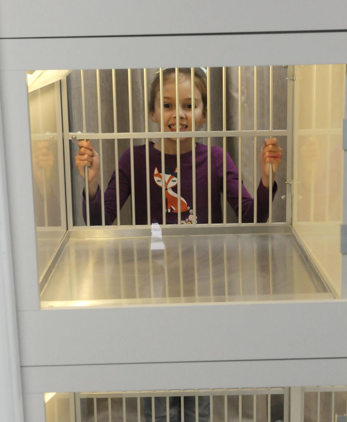 Years of planning pay off with new Tazewell County animal shelter