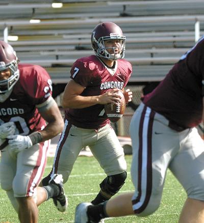 Concord Coach Relieved Novak Is Back Local Sports Bdtonline Com