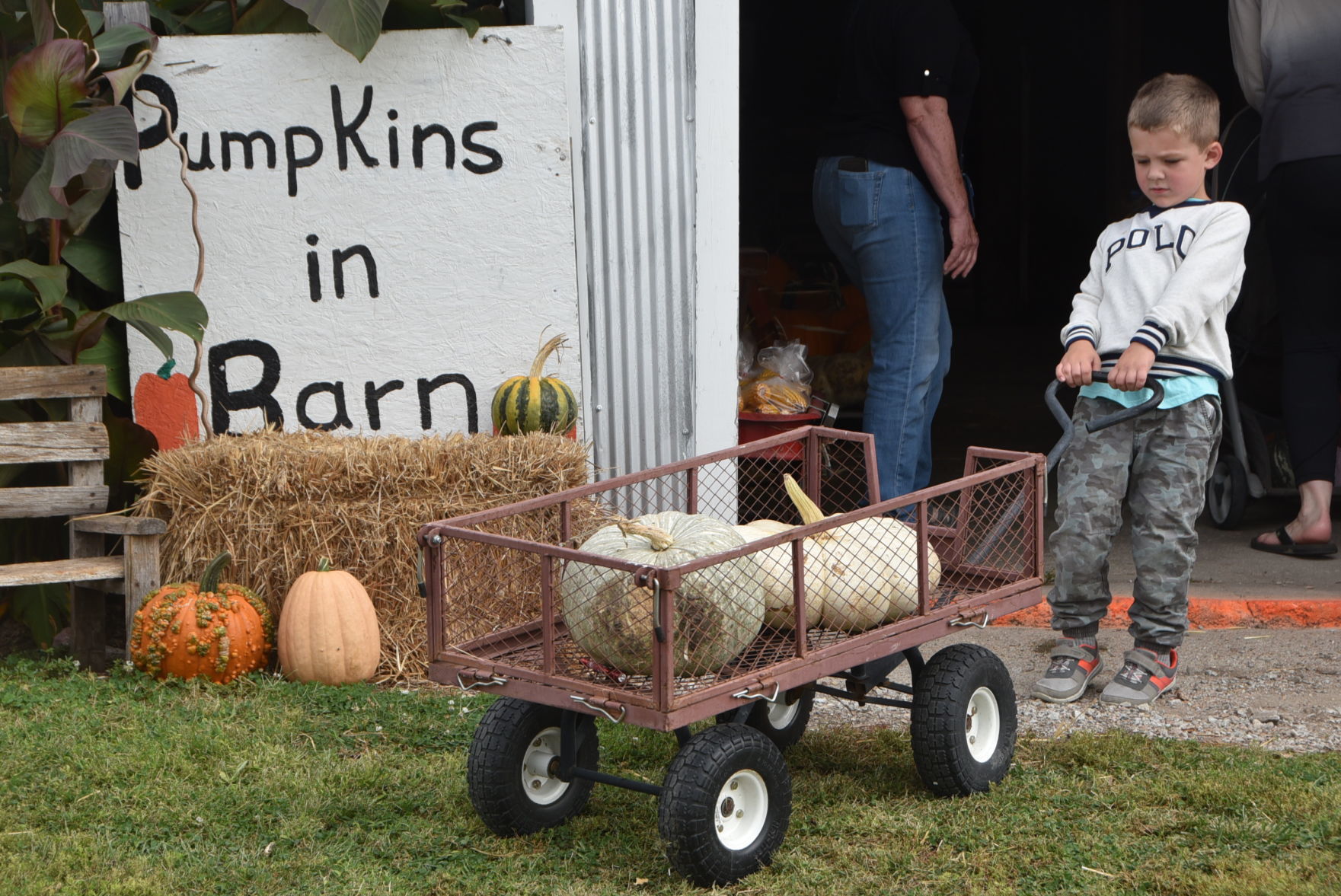 Korner Pumpkin Patch opens for 16th season