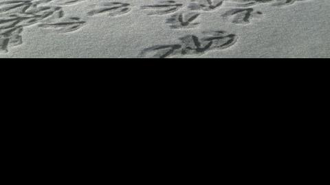 Time to do a bit of pre-season scouting