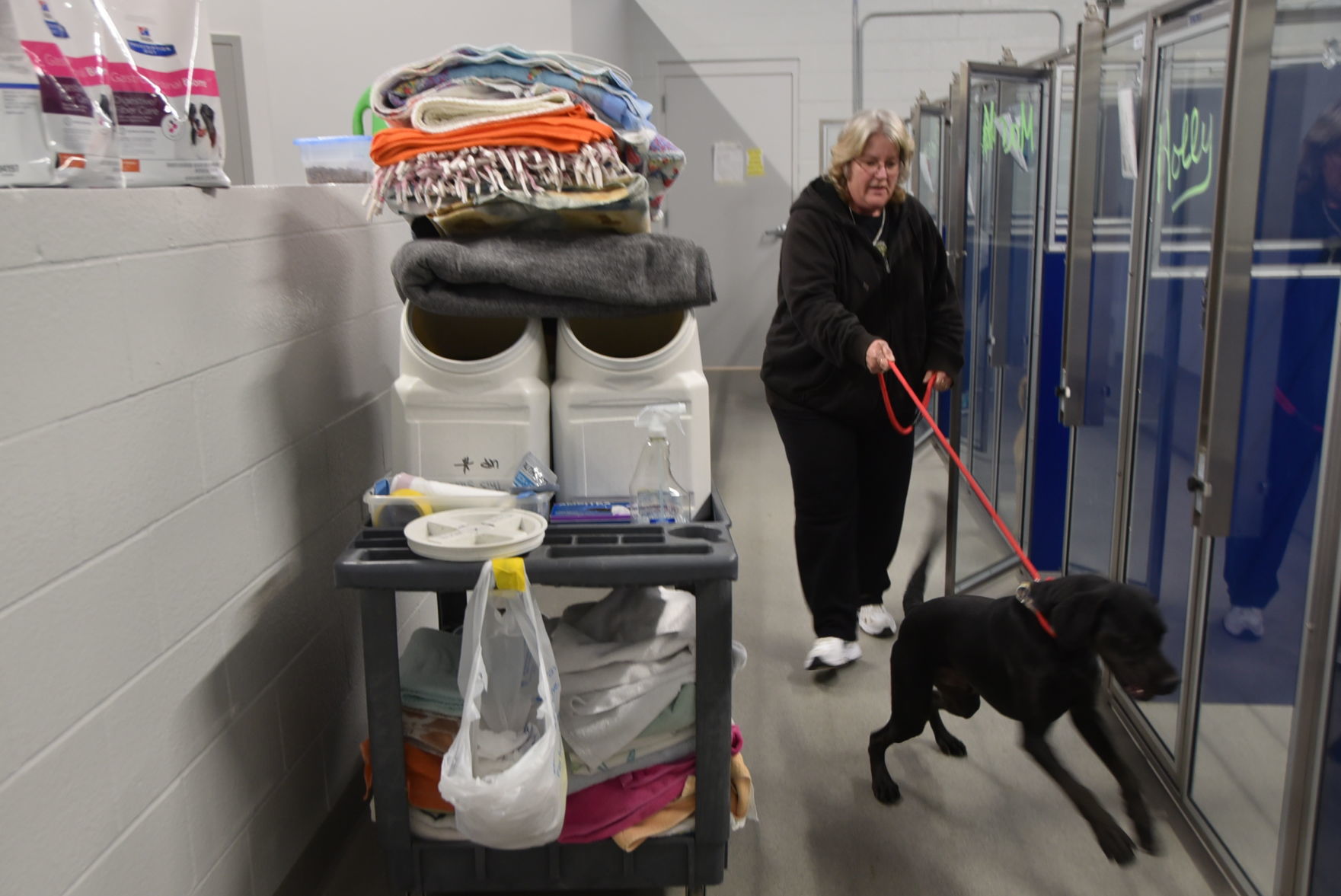 Volunteers care for Humane Society animals over the holidays