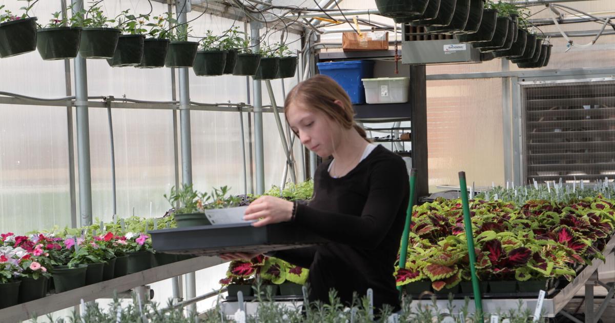 Springing into Action: Beatrice High School Science Club Hosts Annual Plant Sale