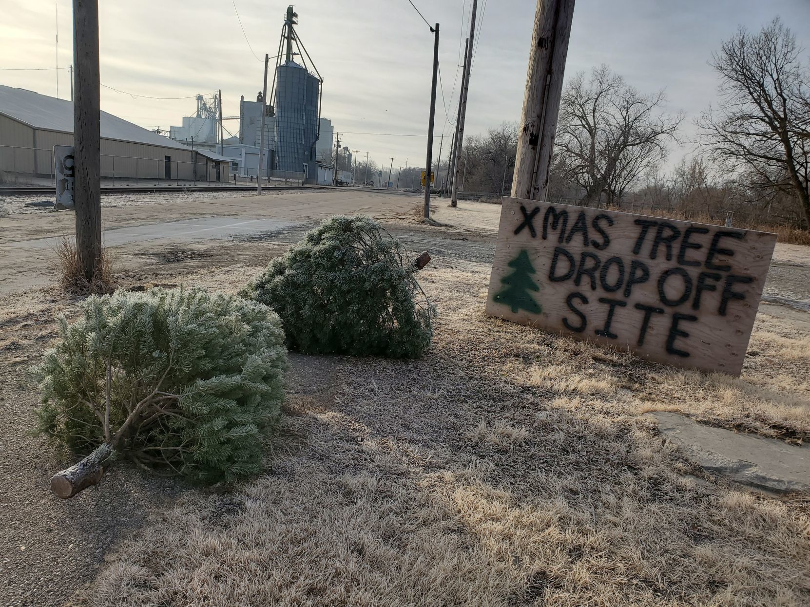 City recycling Christmas trees