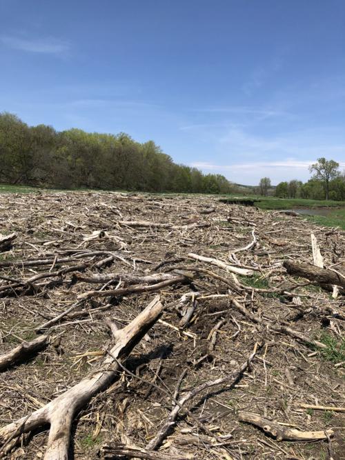2019 flooding