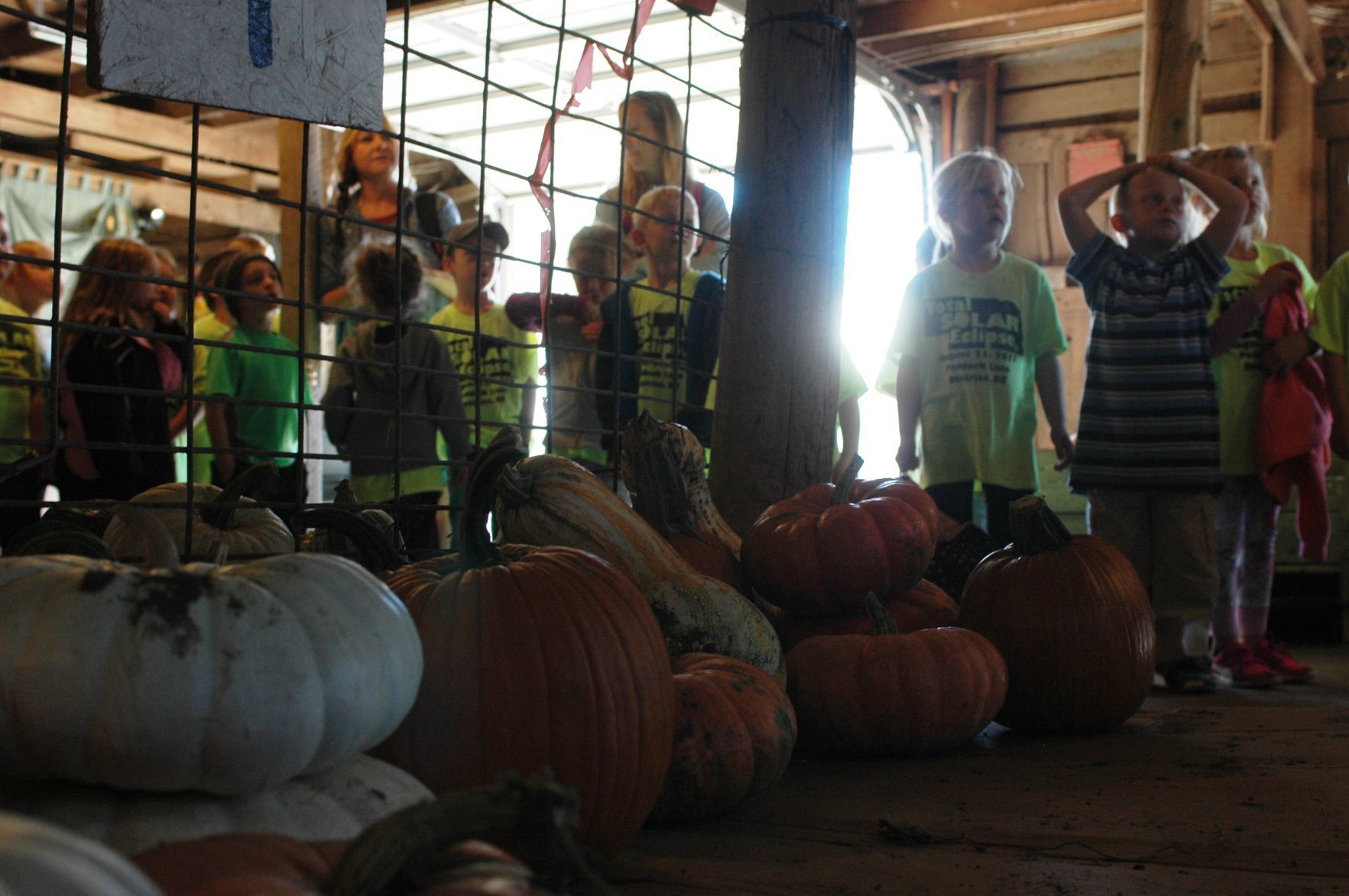 Kindergartners pick a winner at Korner Pumpkin Patch