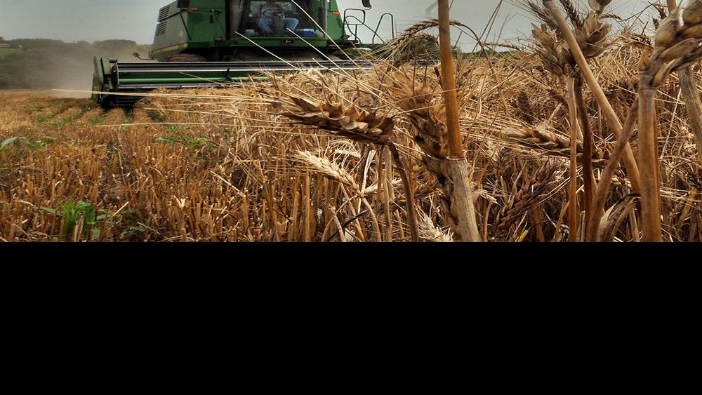 Insurer pays $50,000 fine over canceled hail policies