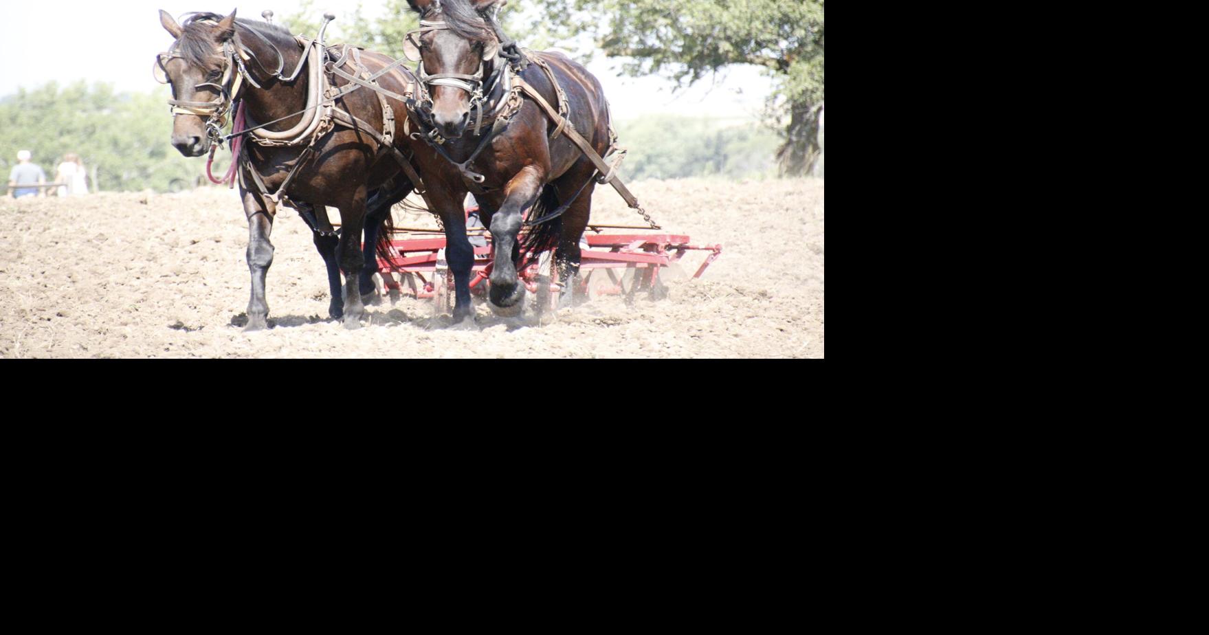 Living history at the Homestead