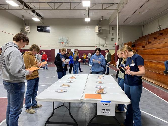 Lewiston FFA hosts poultry judging contest