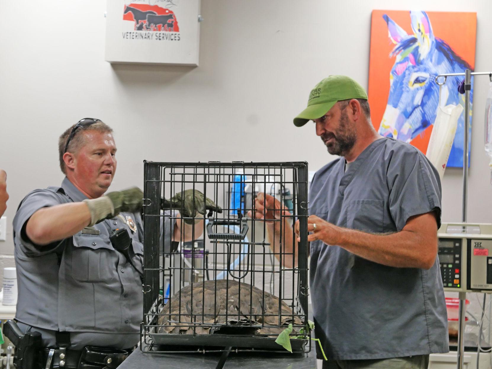 Reality show 'Heartland Docs' brings unexpected fame to Nebraska vets