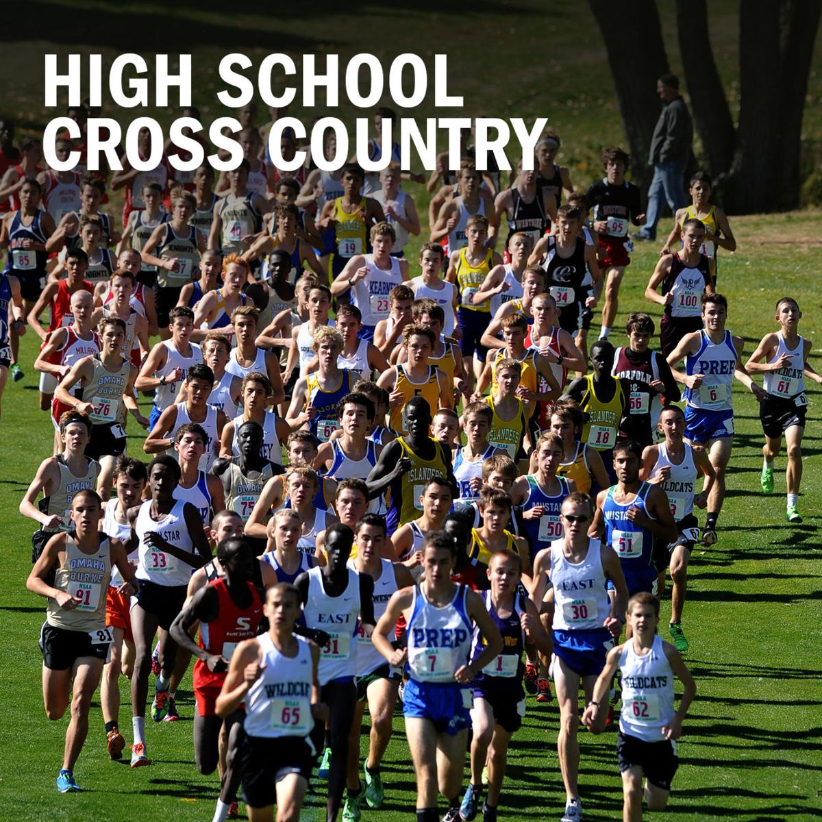 High school cross country logo 2014