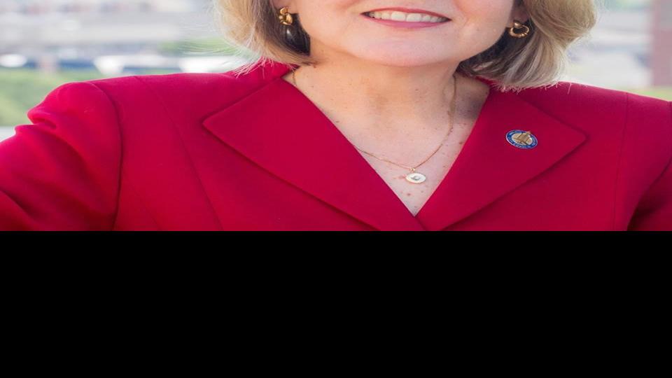 Jane Raybould looking to win Fischer's seat