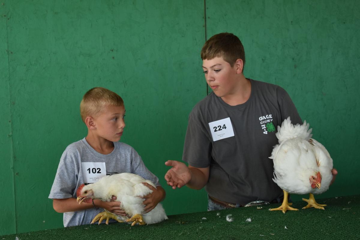 Gage County Fair 2022