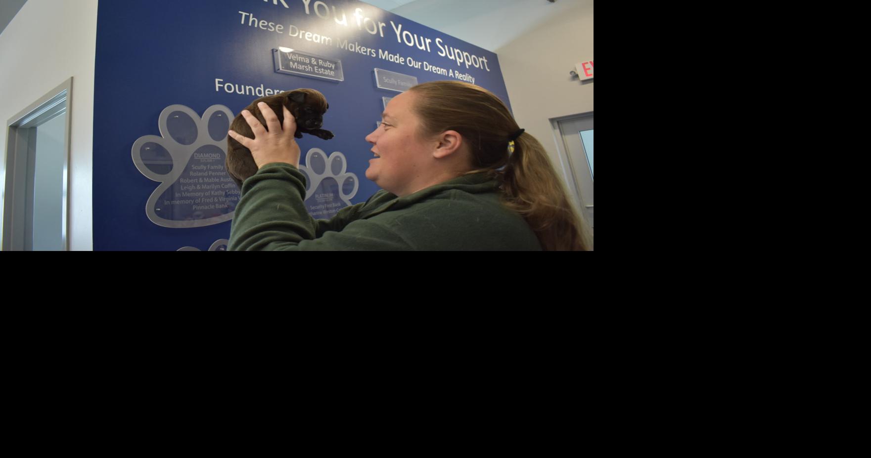 Beatrice Humane Society sets new record for pet adoptions