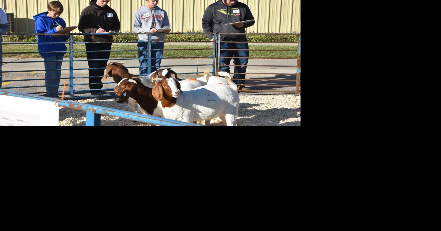 Southeast Nebraska schools participate in livestock judging event at SCC