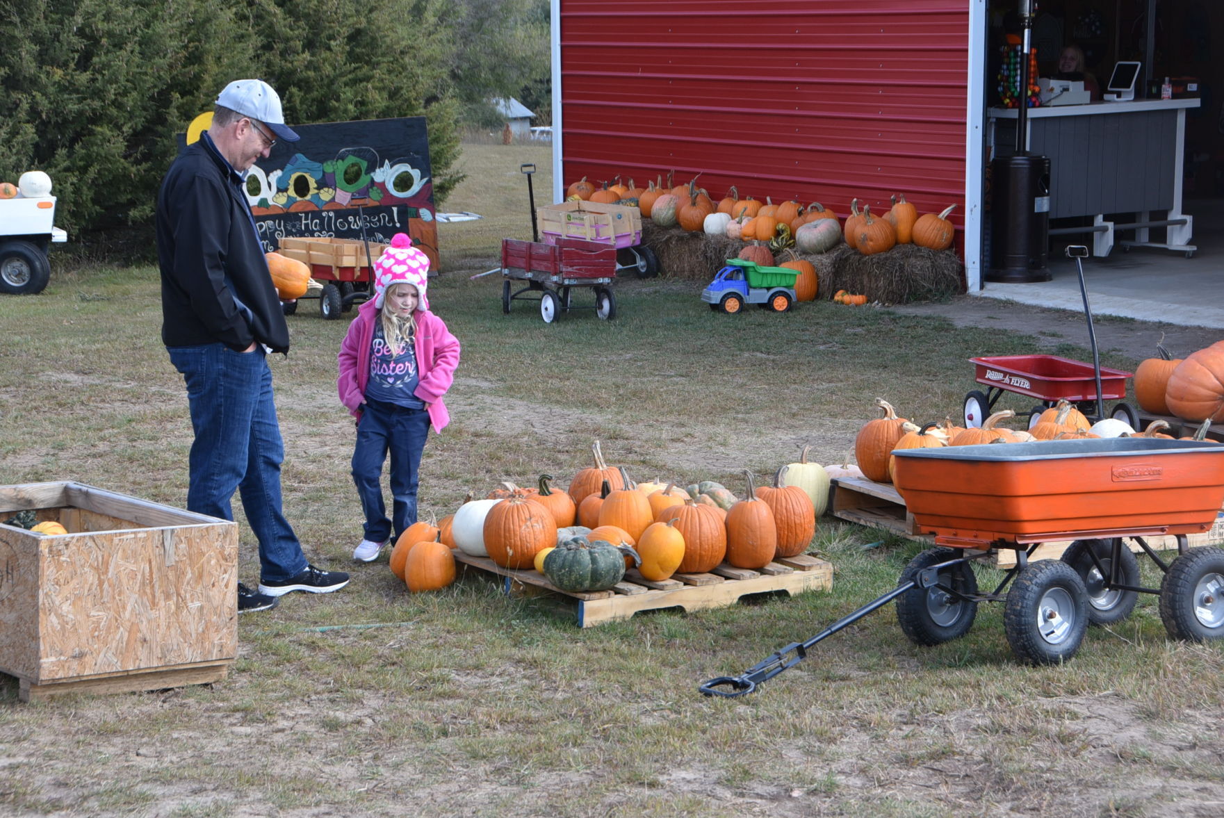 New pumpkin patch opens west of Beatrice