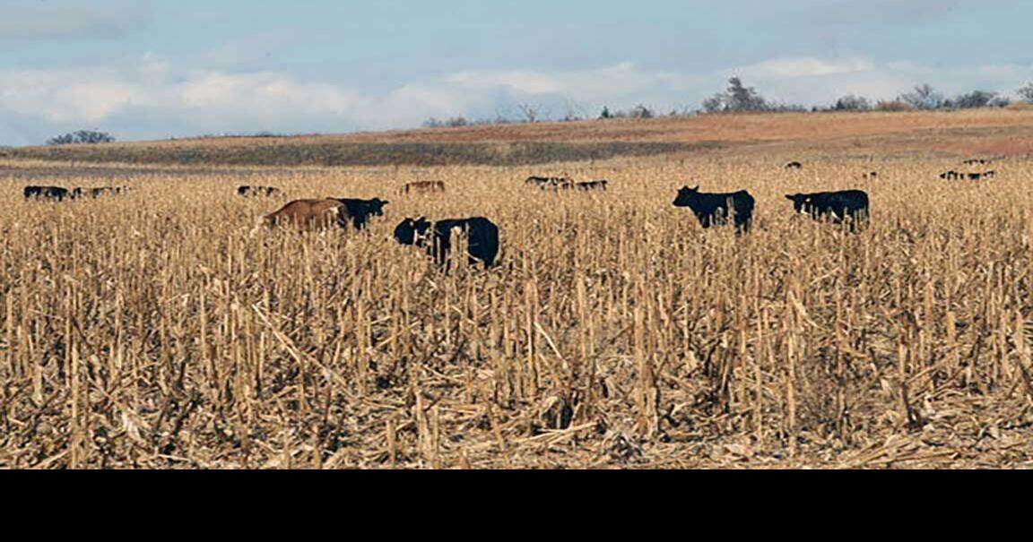 Value in what the combine leaves behind
