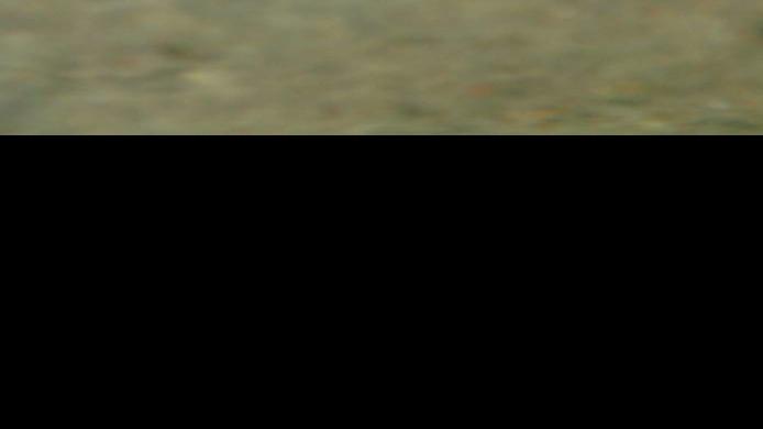 So, what do fish actually see from their underwater world?