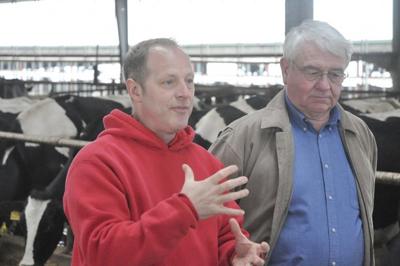 Firth dairy farm a model of efficiency
