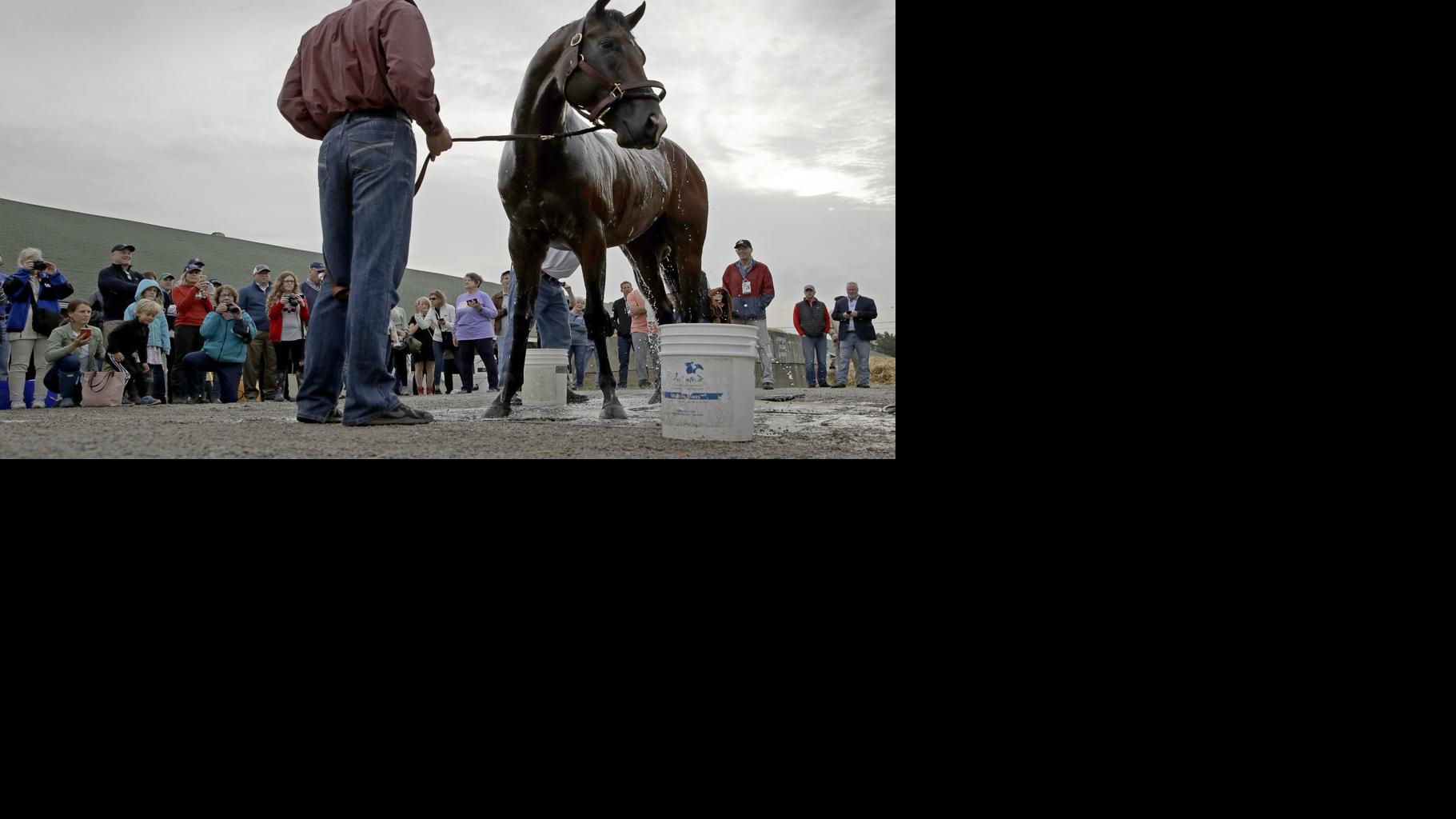 Omaha Beach is 4-1 early favorite for Kentucky Derby