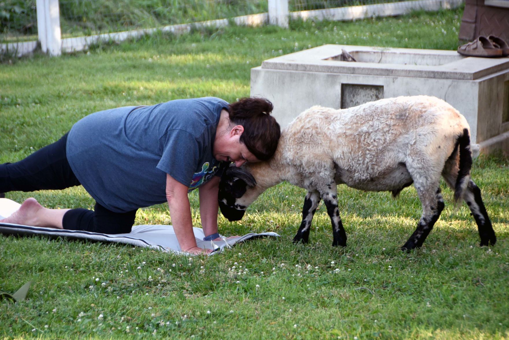 Beatrice YMCA instructs goat yoga classes at local rescue center