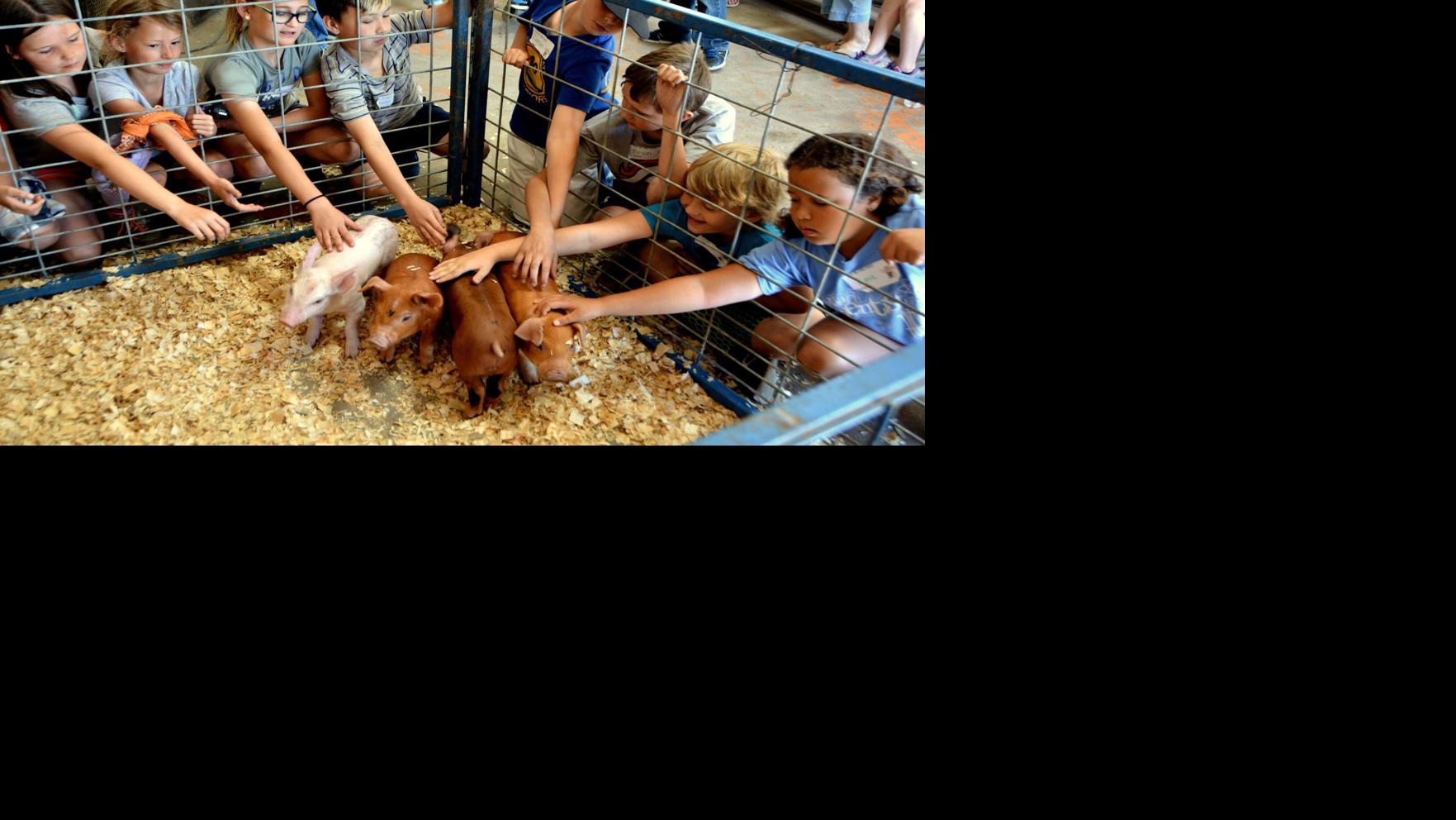 Day on the Farm: Third graders get a chance to see where their food comes from
