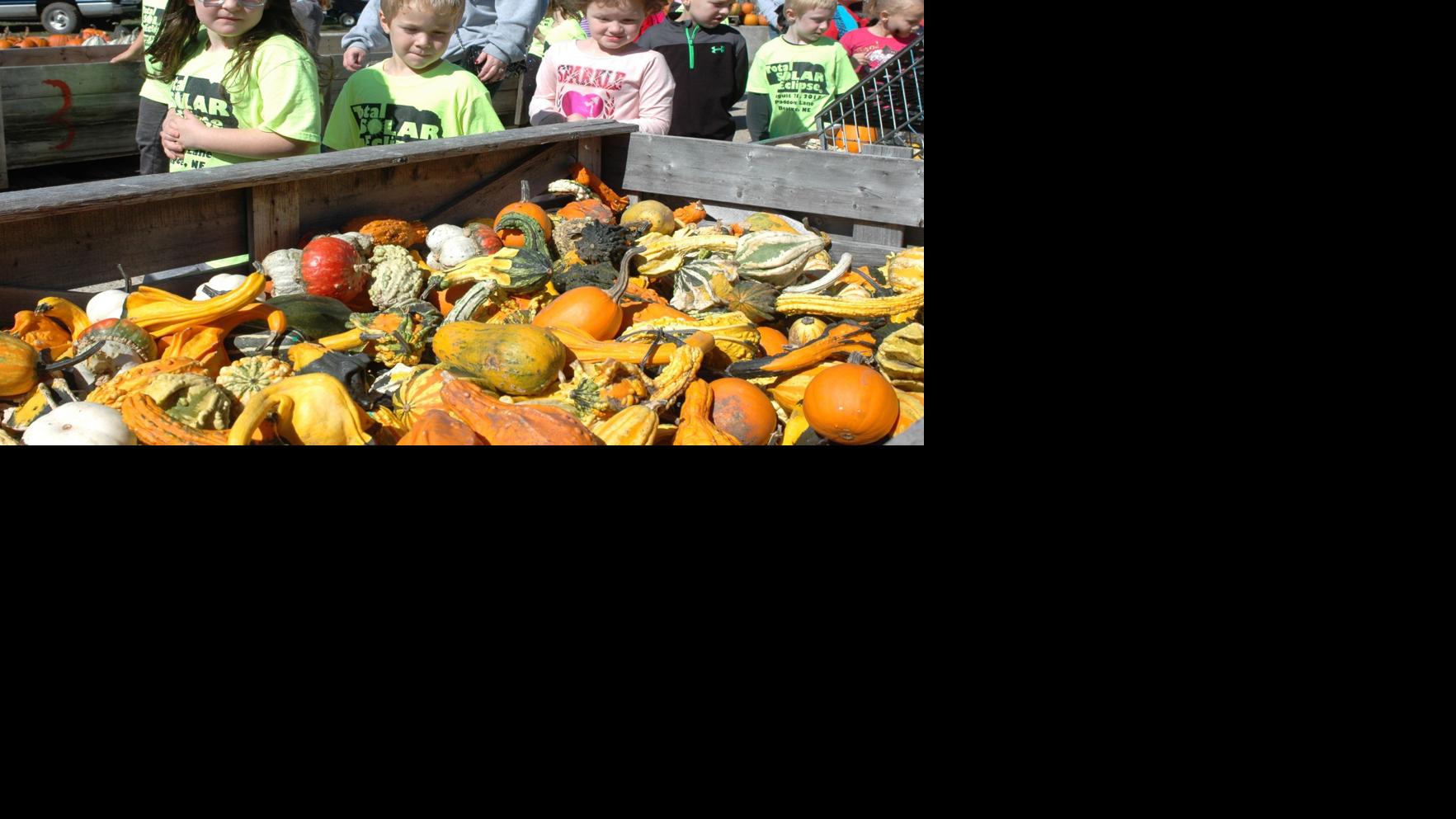 Kindergartners pick a winner at Korner Pumpkin Patch