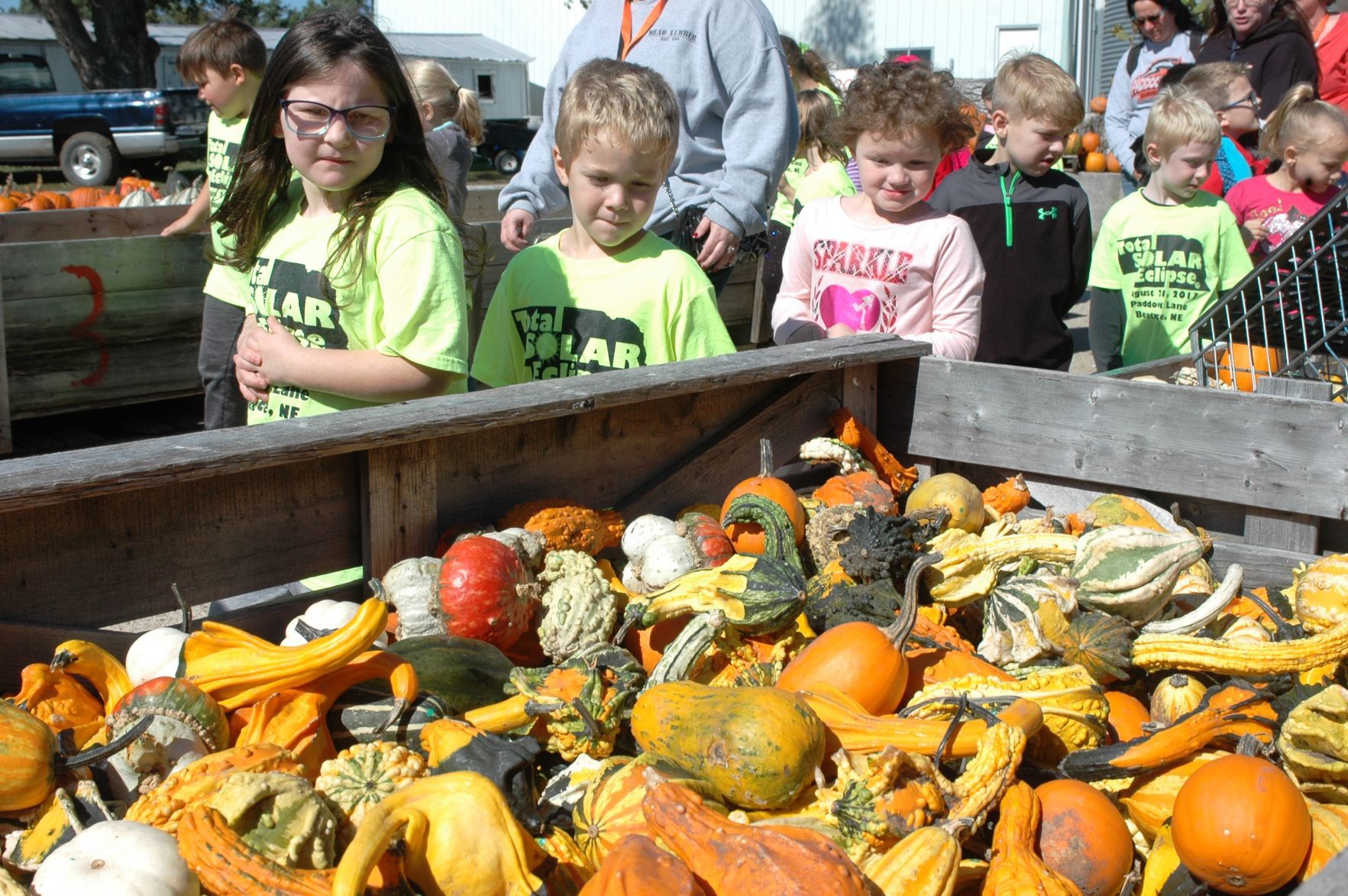 Kindergartners pick a winner at Korner Pumpkin Patch