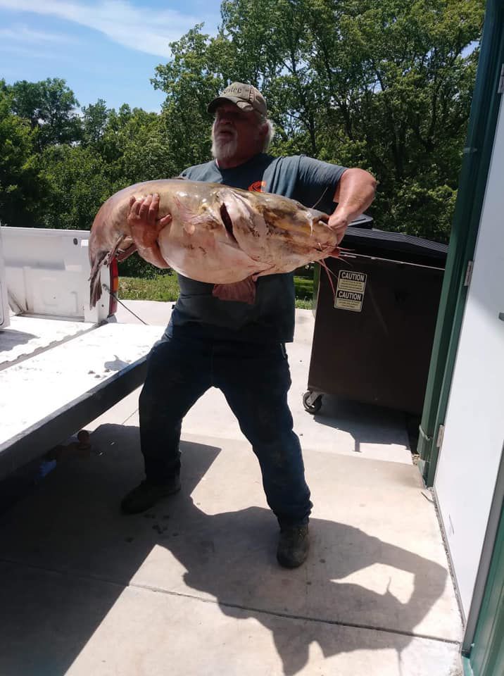 Fish Out Of Water 89 Pound Flathead Breaks Record Travels Southeast Nebraska Before Going Home Beatricedailysun Com