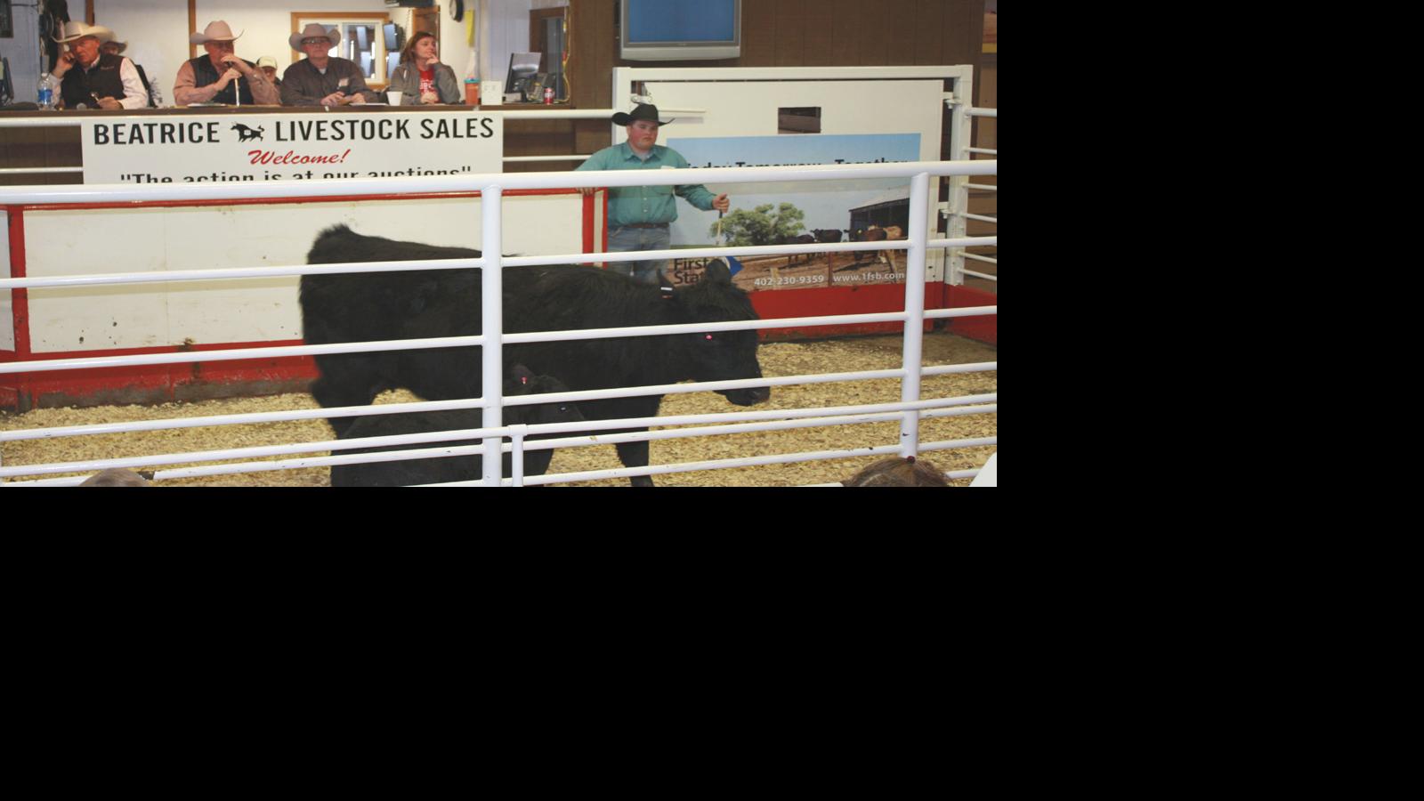 Auction raises money for flood victims