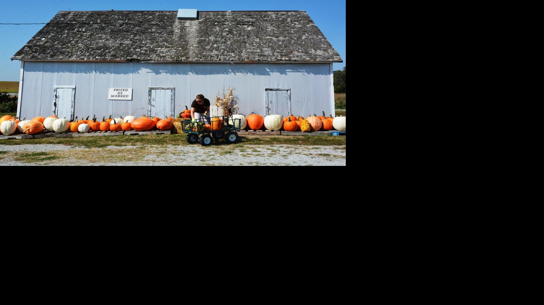 Pumpkin season is right around the Korner