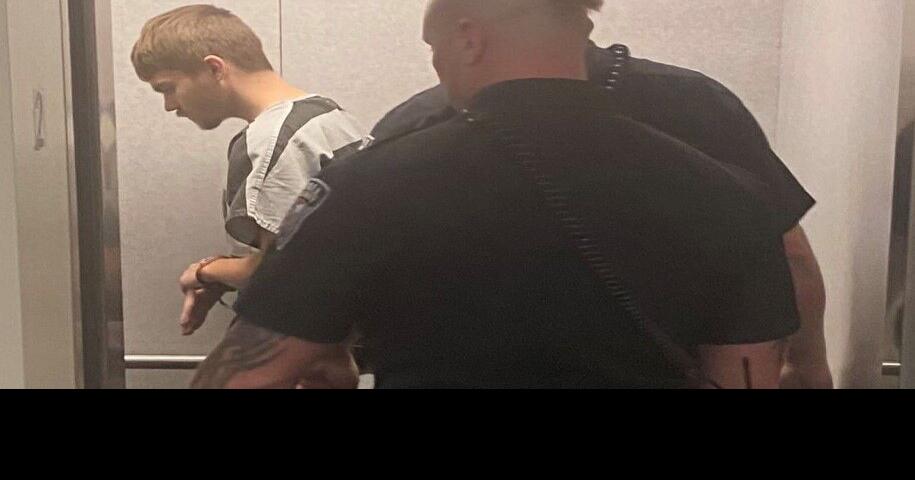 Ohio man pleads not guilty by insanity in fatal stabbing at Grand Island-area rest stop