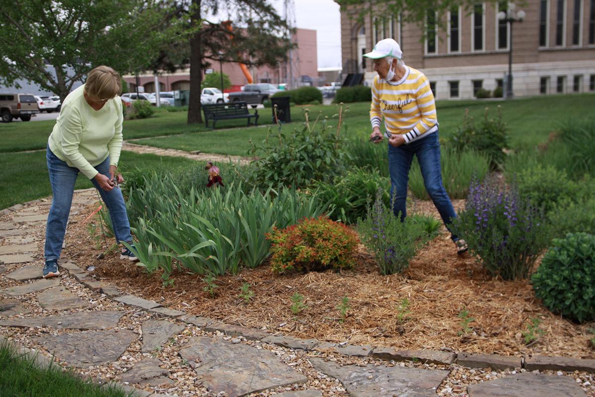 master gardeners