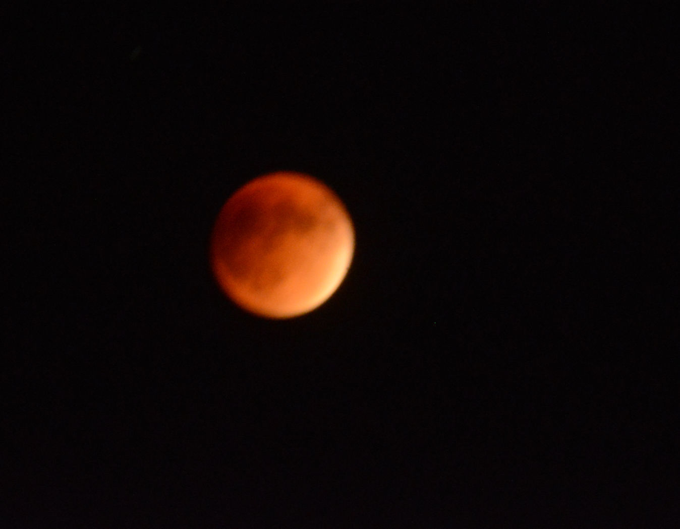 Sky watchers gather to view blood moon