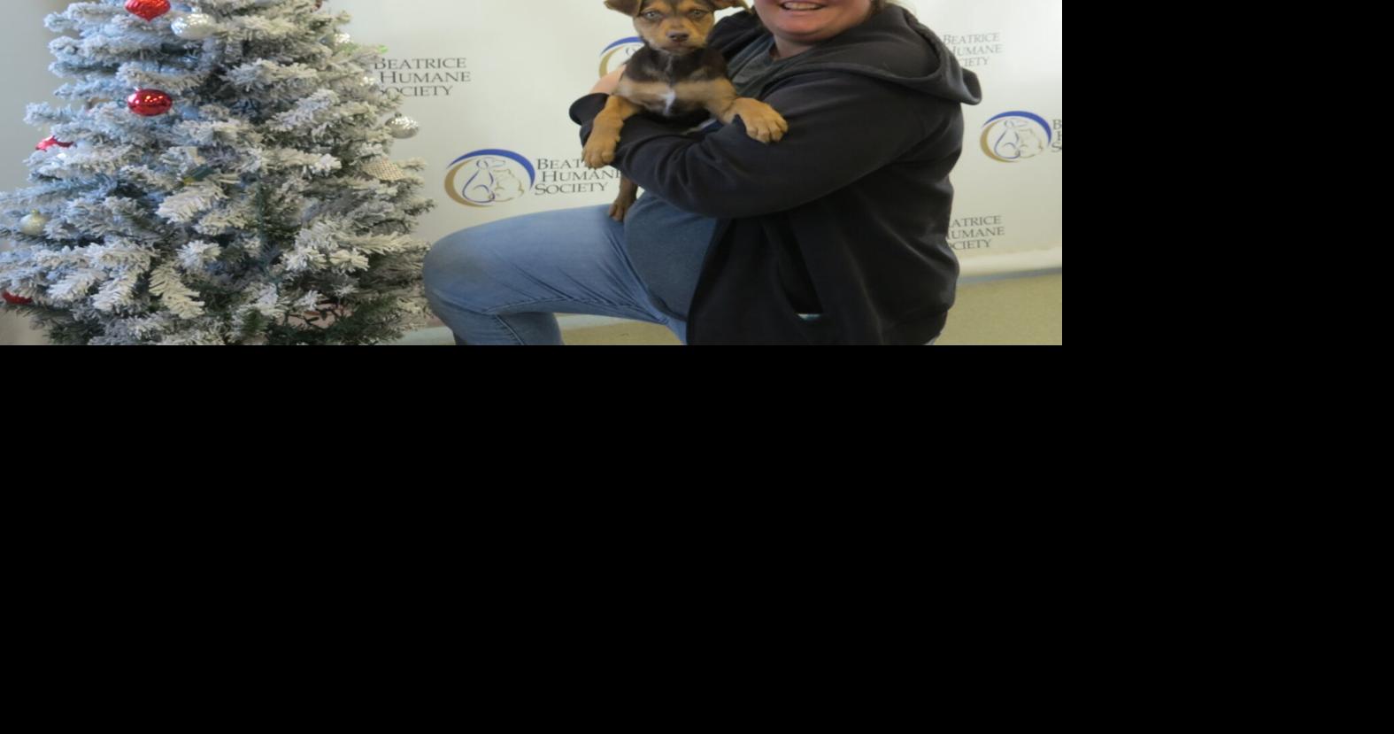 Beatrice Humane Society provides cold weather care tips