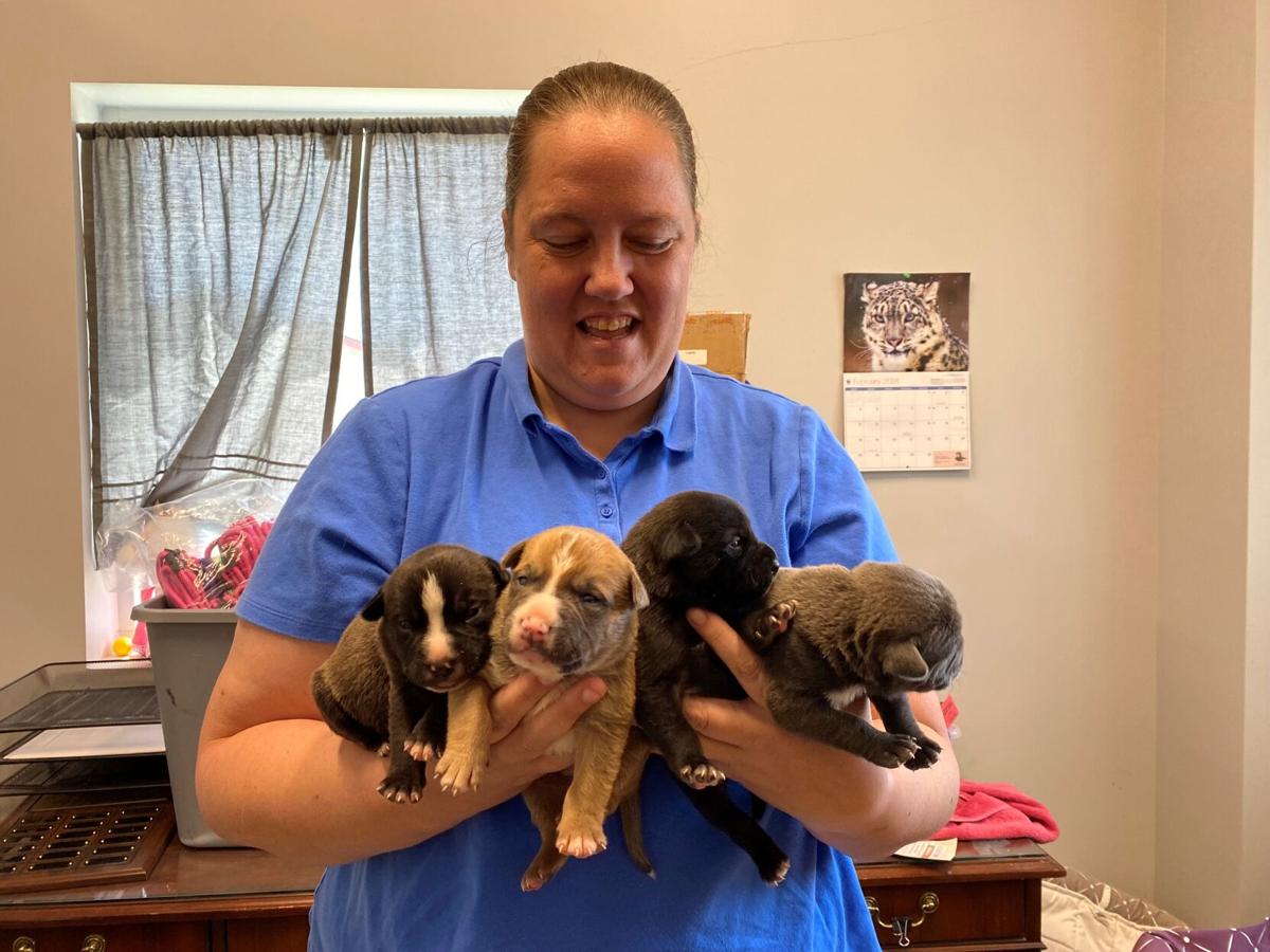 Beatrice Humane Society helps in rescue