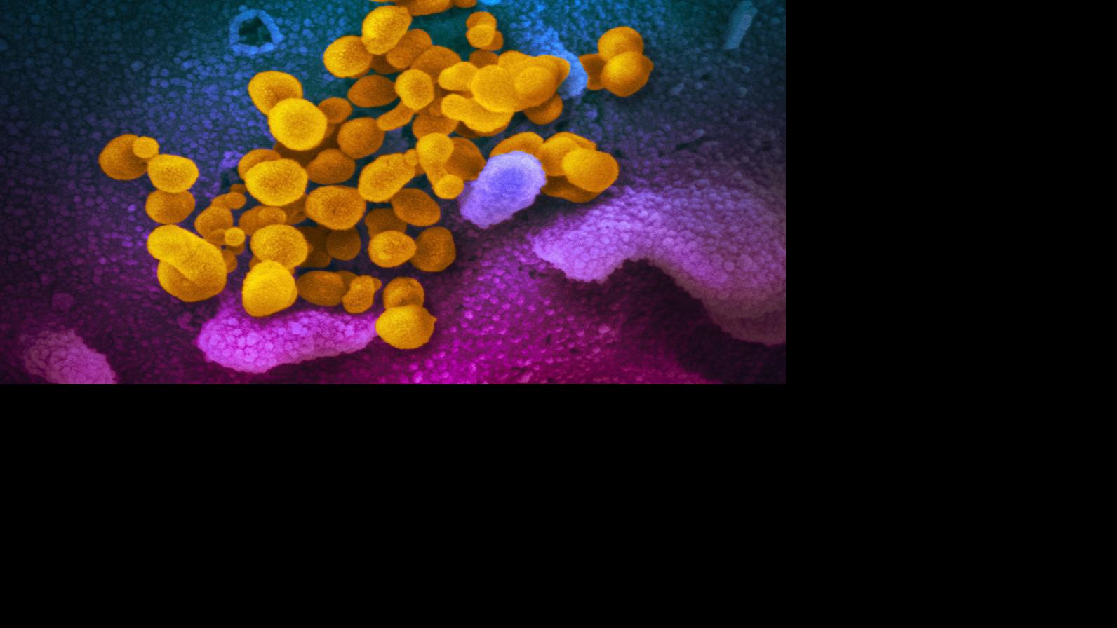 Health Department: Several factors affect trajectory of COVID-19 test results