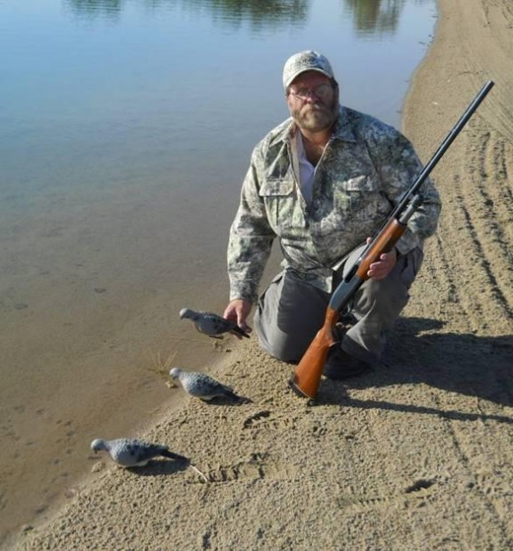 Do dove decoys really work? Recreation
