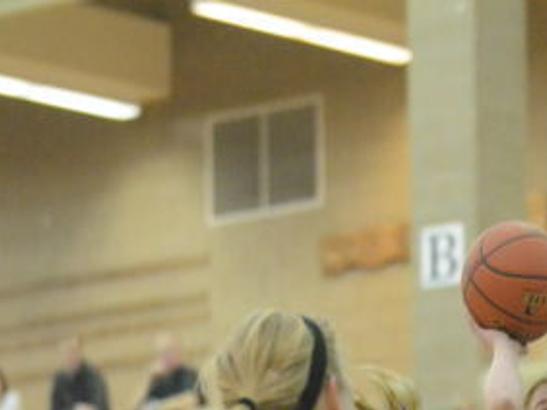 Lady Falcons Fall To Sutton At State Basketball