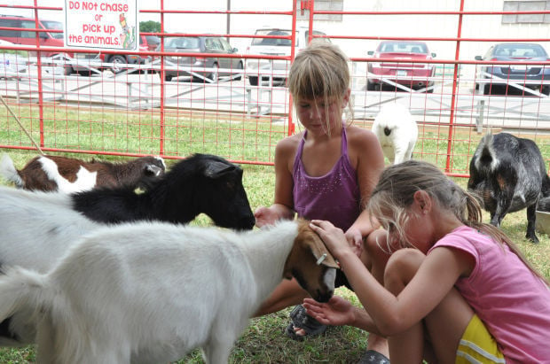 Petting zoo returns to fair