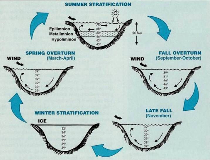 lake turnover and water quality