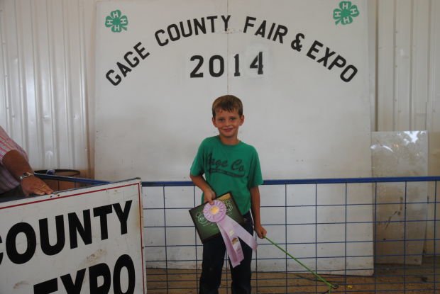 4 H livestock results