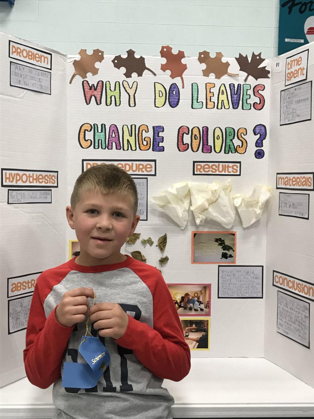Students win awards for school science fair | Education ...