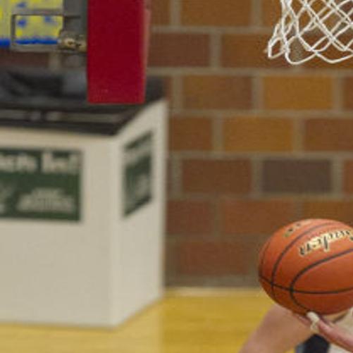 Frerichs Sedlacek Lead Freeman To Win Basketball