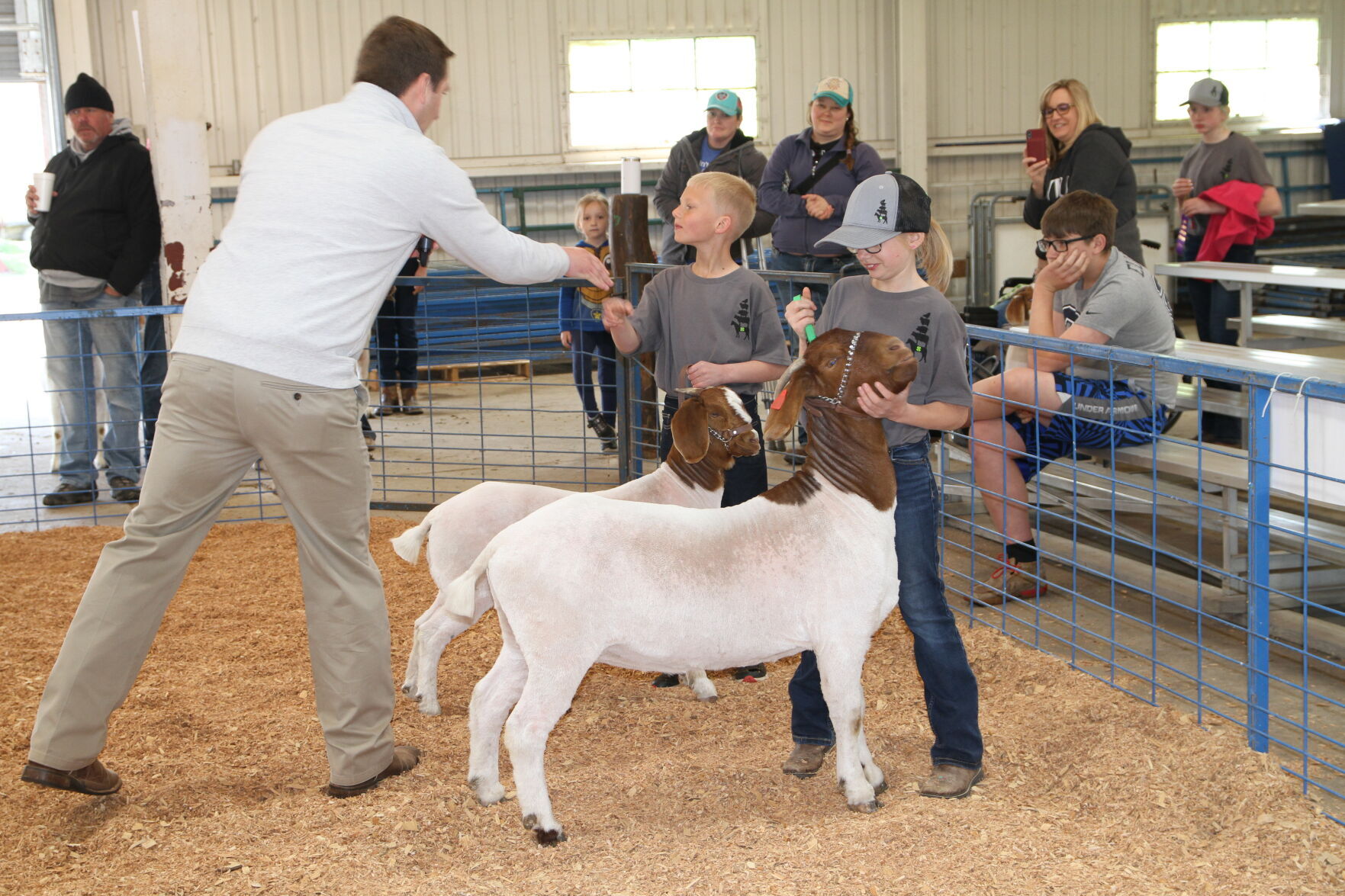 Gage County hosts livestock showdown