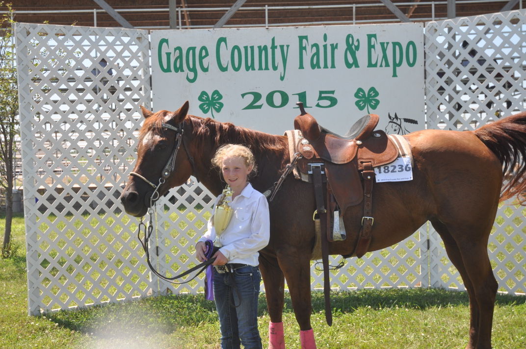 Horse results