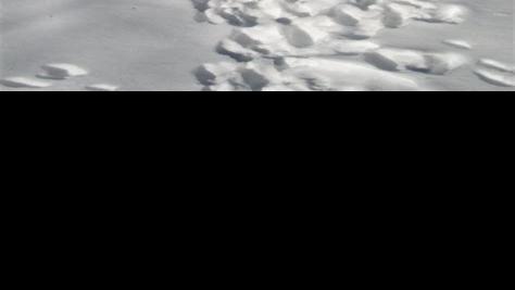 For when you are tired of holiday couch sitting&hellip;