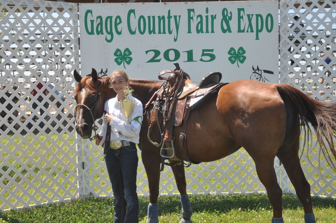 Horse results