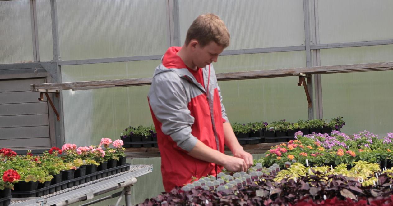 SCC to hold annual plant sale - Vimarsana News