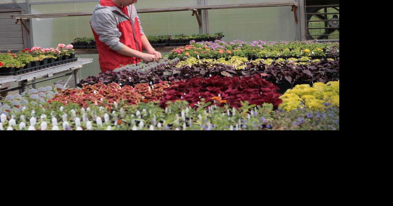 SCC to hold annual plant sale